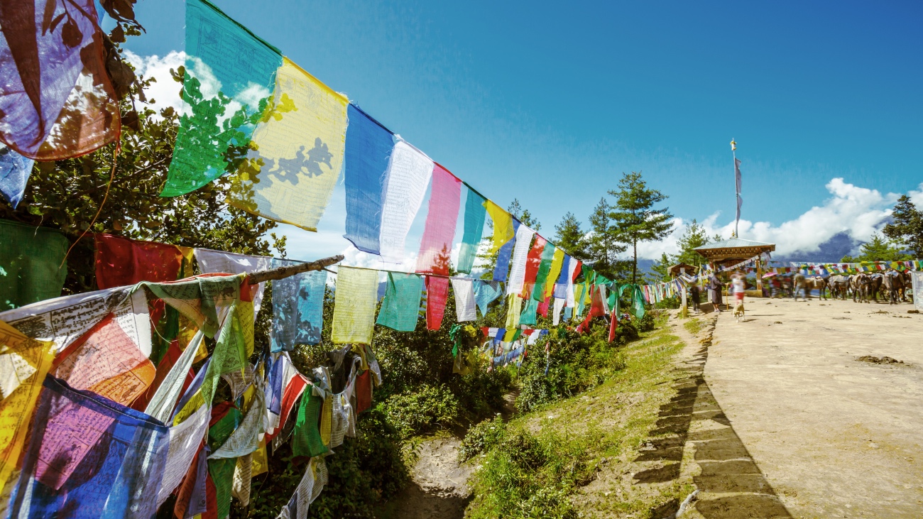 the traditional yoga path