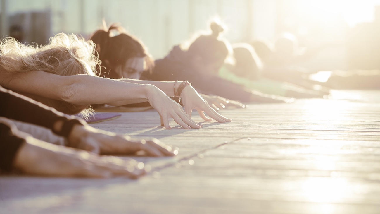 Yoga Teacher Training And Certification