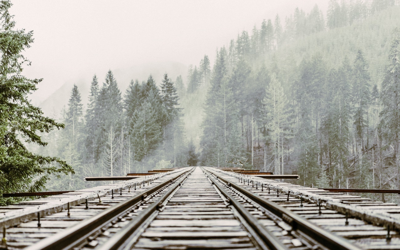 all aboard for the ayahuasca train
