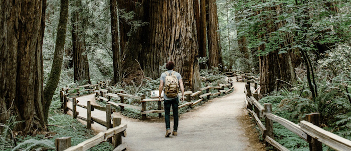 Finding your path as a yoga teacher
